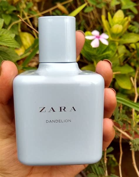 zara dandelion perfume dupe